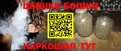 гашик Тула