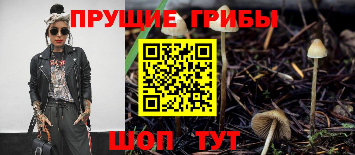 наркота  Вход с VPN  Ачинск  Галлюциногенные грибы Cubensis 