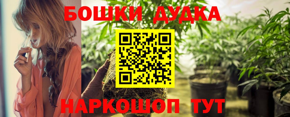Конопля сатива Ачинск